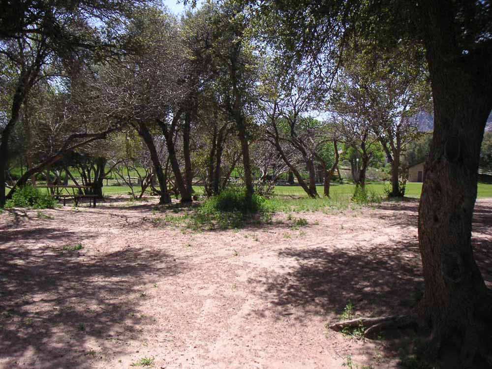 1101 | 00000001604 | parks - ranches,  tree, grass,
