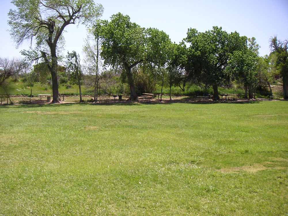 1101 | 00000001608 | parks - ranches,  tree, grass,