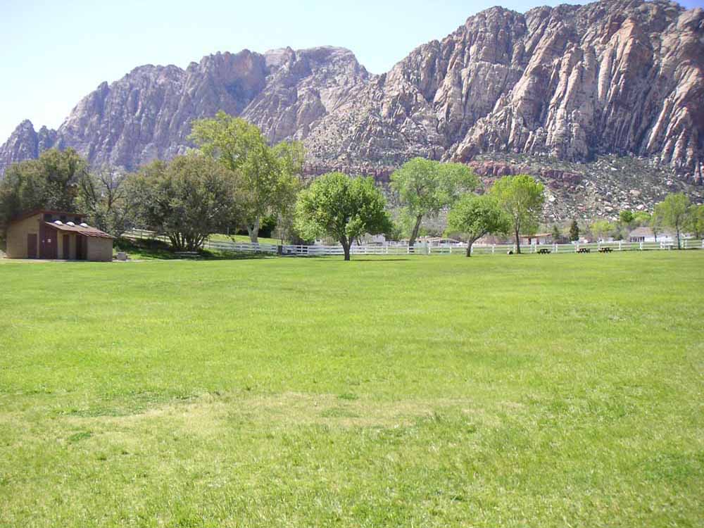 1101 | 00000001609 | parks - ranches,  mountain, tree, grass,