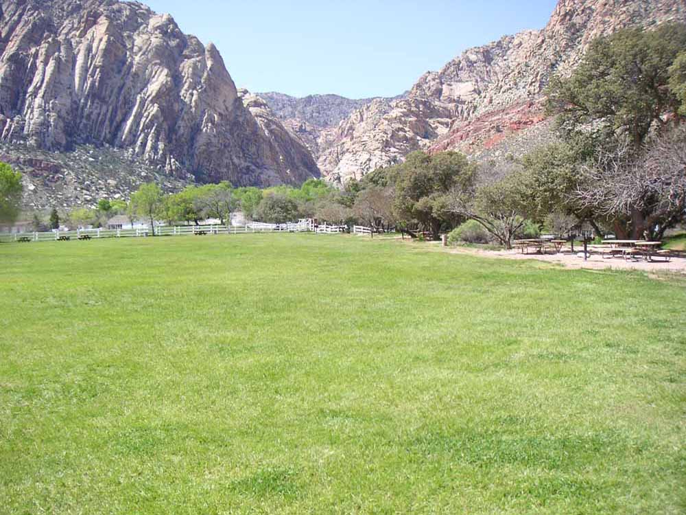 1101 | 00000001610 | parks - ranches,  mountain, tree, grass,