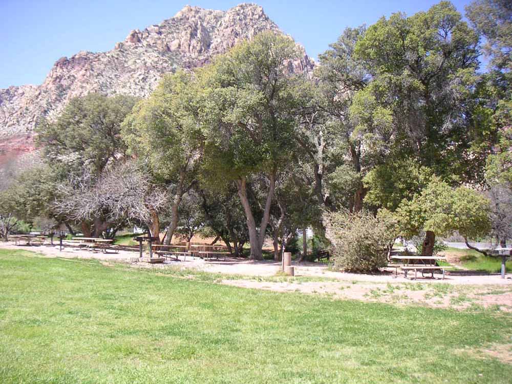 1101 | 00000001611 | parks - ranches,  mountain, tree, grass,