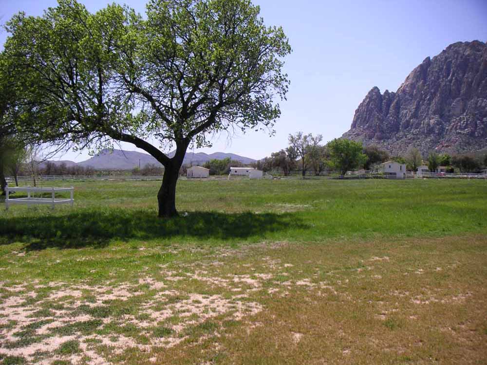 1101 | 00000001612 | parks - ranches,  mountain, tree, grass,