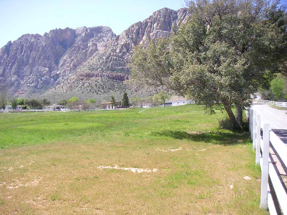 1101 | 00000001613 | parks - ranches,  mountain, tree, grass,