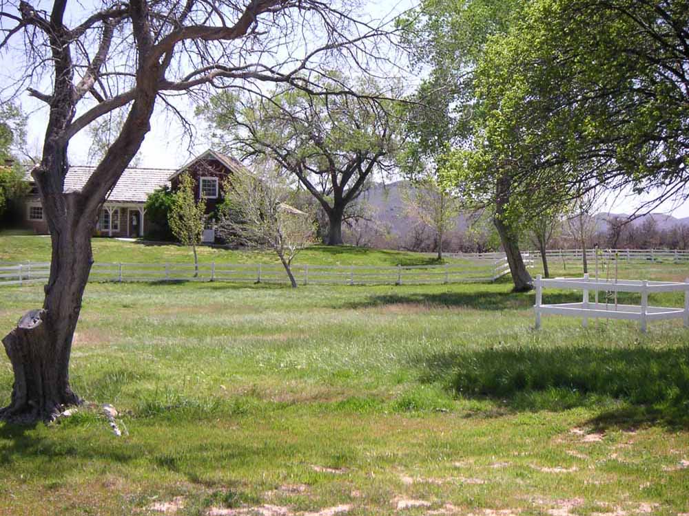 1101 | 00000001614 | parks - ranches,  tree, grass, ranch, 