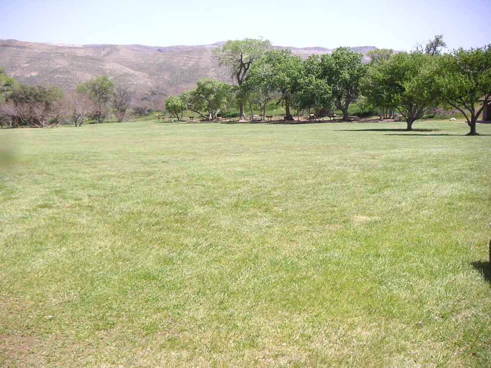 1101 | 00000001615 | parks - ranches,  mountain, tree, grass,
