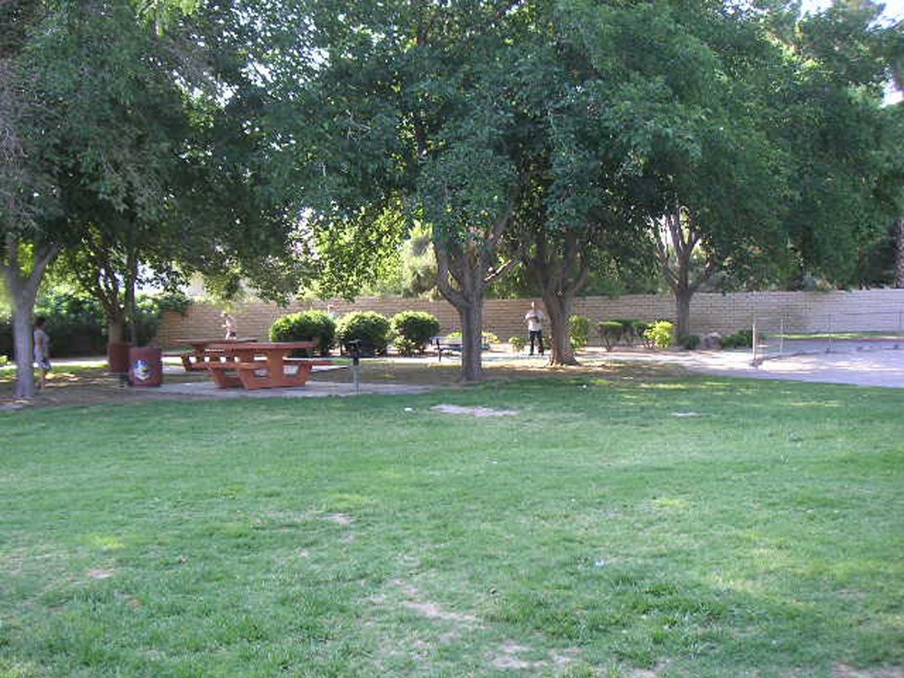 1102 | 00000001658 | parks - ranches,  grass, tree, 