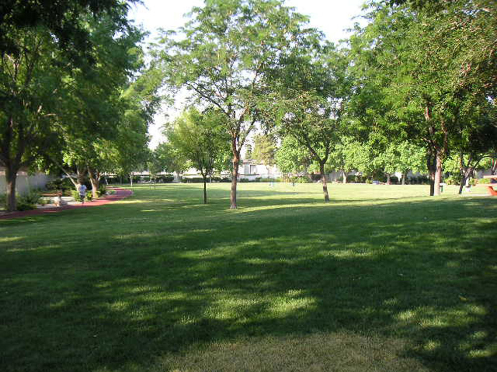 1102 | 00000001666 | parks - ranches,  grass, tree, 