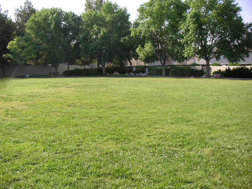 1102 | 00000001672 | parks - ranches,  grass, tree,