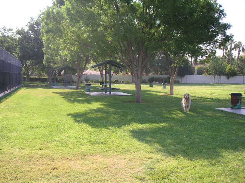 1102 | 00000001674 | parks - ranches,  grass, tree,