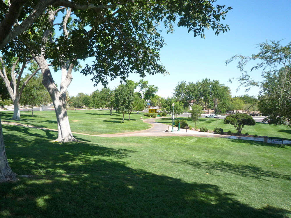 1109 | 00000001919 | parks - ranches,  grass, tree, 