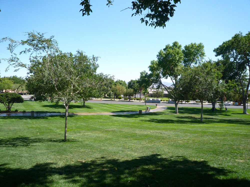1109 | 00000001920 | parks - ranches,  grass, tree, 