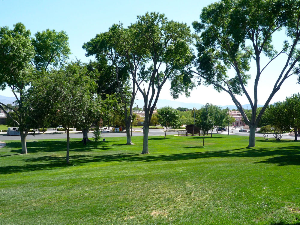 1109 | 00000001921 | parks - ranches,  grass, tree, 