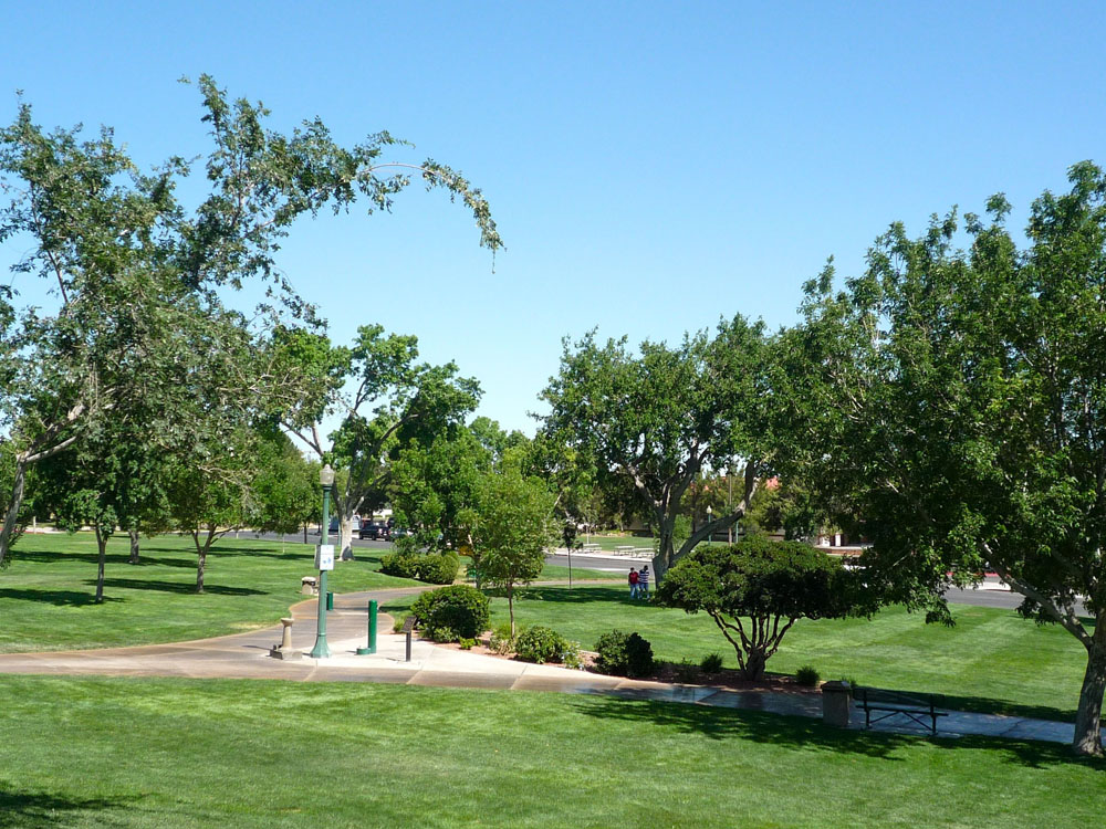 1109 | 00000001923 | parks - ranches,  grass, tree, 