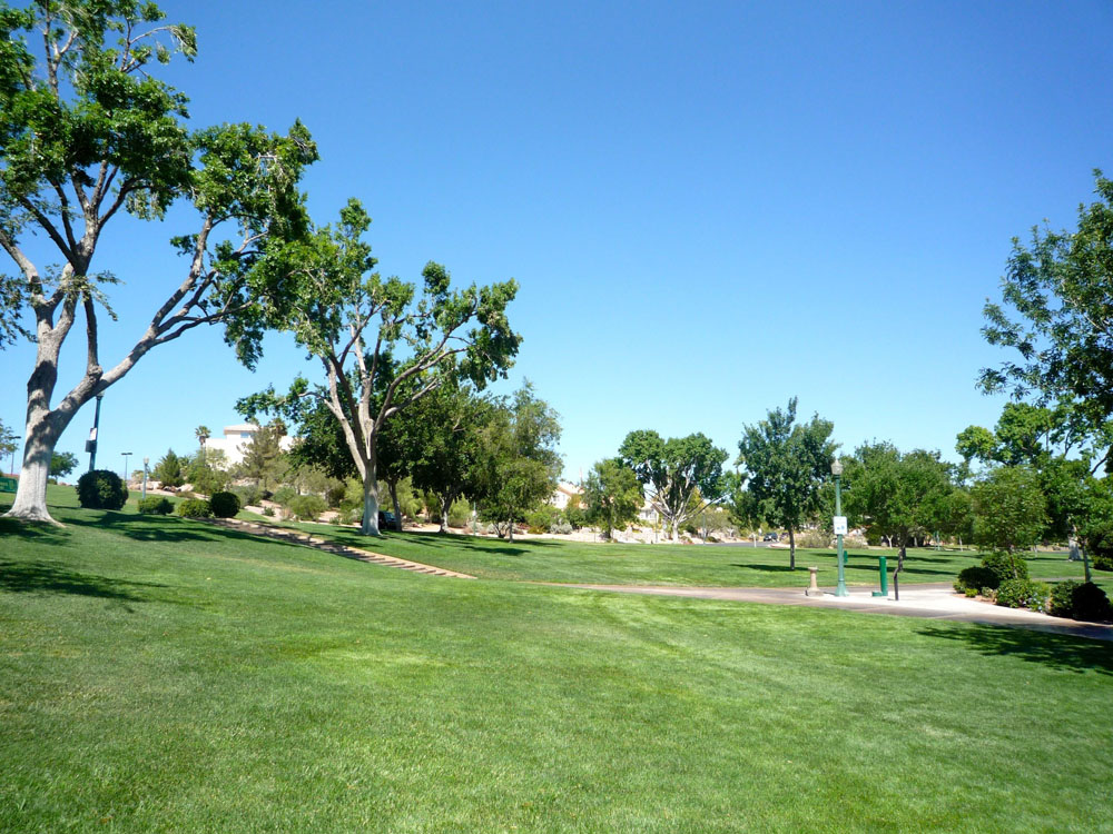 1109 | 00000001924 | parks - ranches,  grass, tree, 