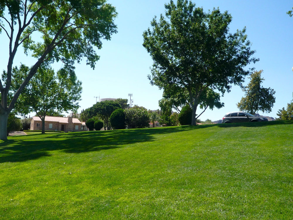 1109 | 00000001927 | parks - ranches,  grass, tree, 