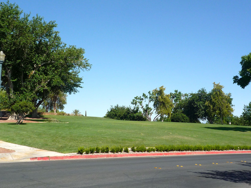 1109 | 00000001931 | parks - ranches,  grass, tree, 