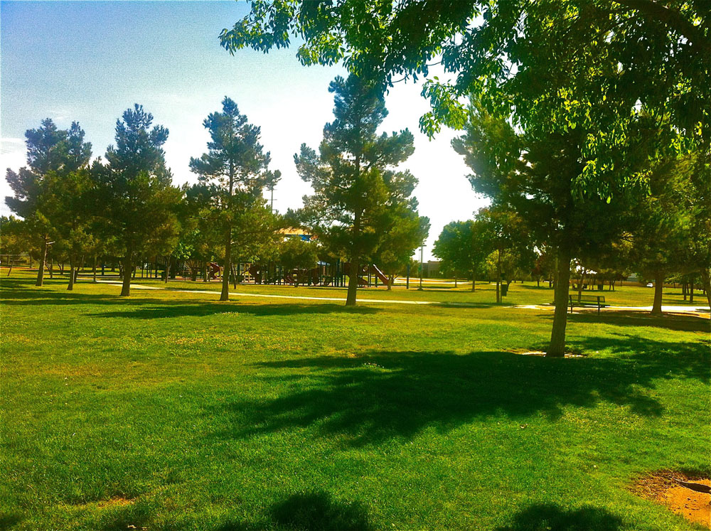 1110 | 00000001932 | parks - ranches,  grass, tree, 
