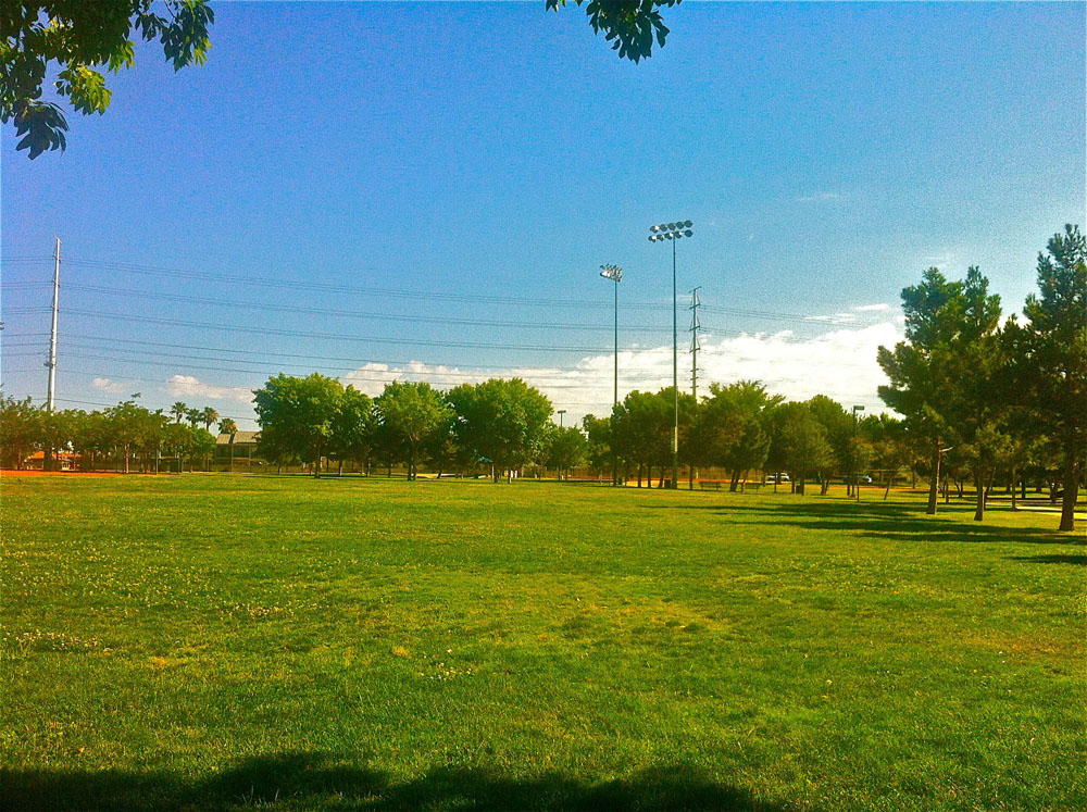 1110 | 00000001933 | parks - ranches,  grass, tree, 
