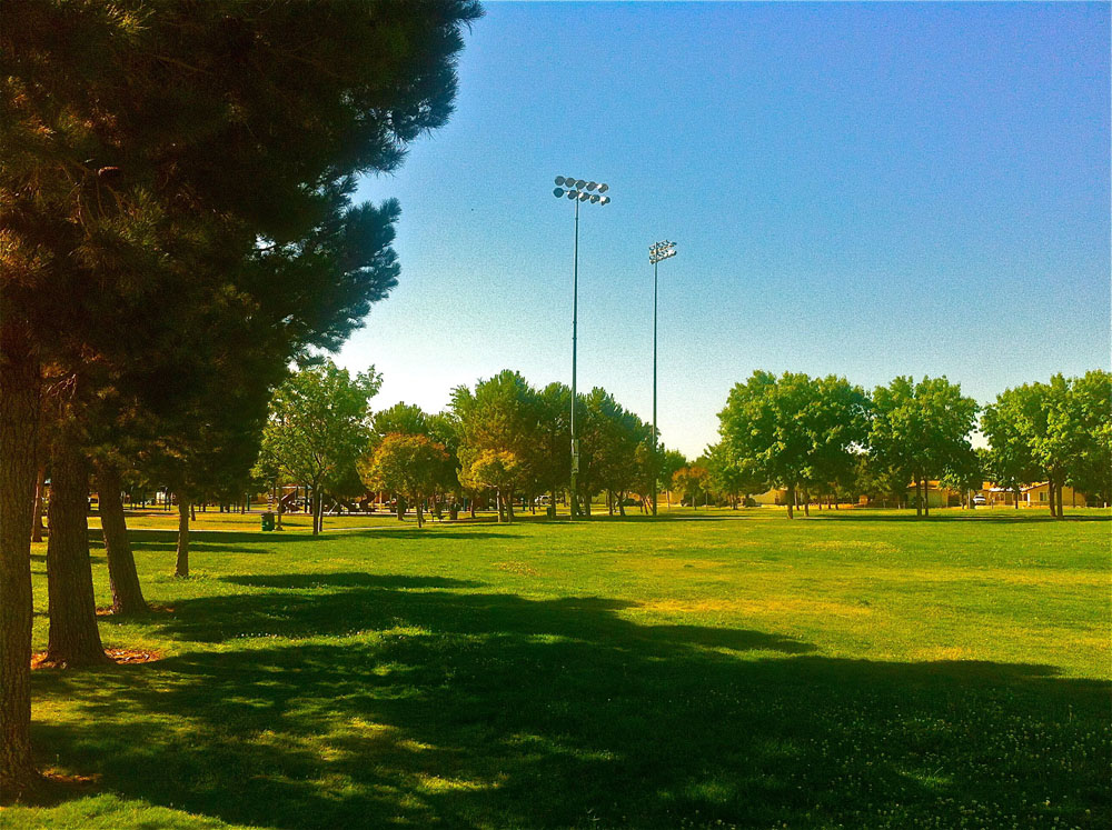 1110 | 00000001947 | parks - ranches,  grass, tree,