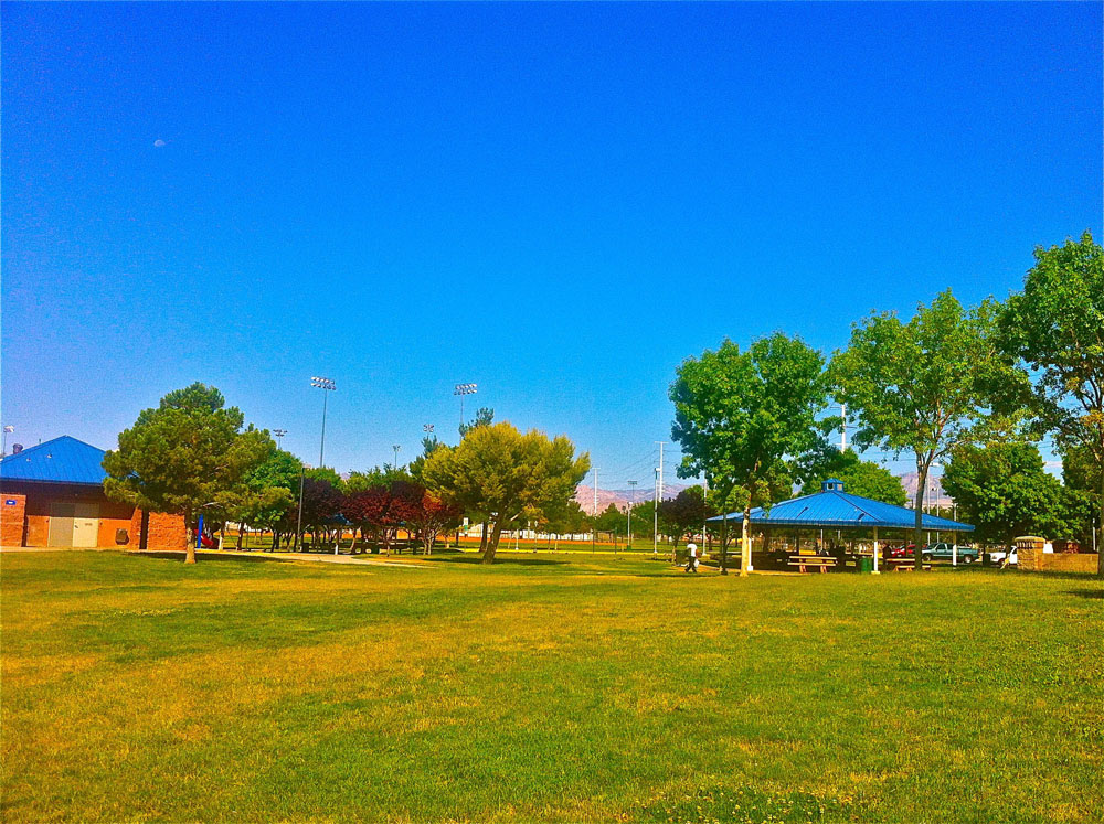 1110 | 00000001958 | parks - ranches,  grass, tree,