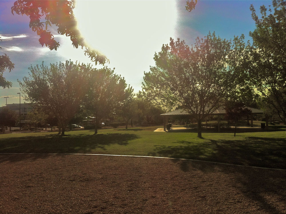 1112 | 00000001964 | parks - ranches,  grass, tree,