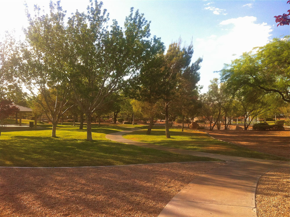 1112 | 00000001965 | parks - ranches,  grass, tree,