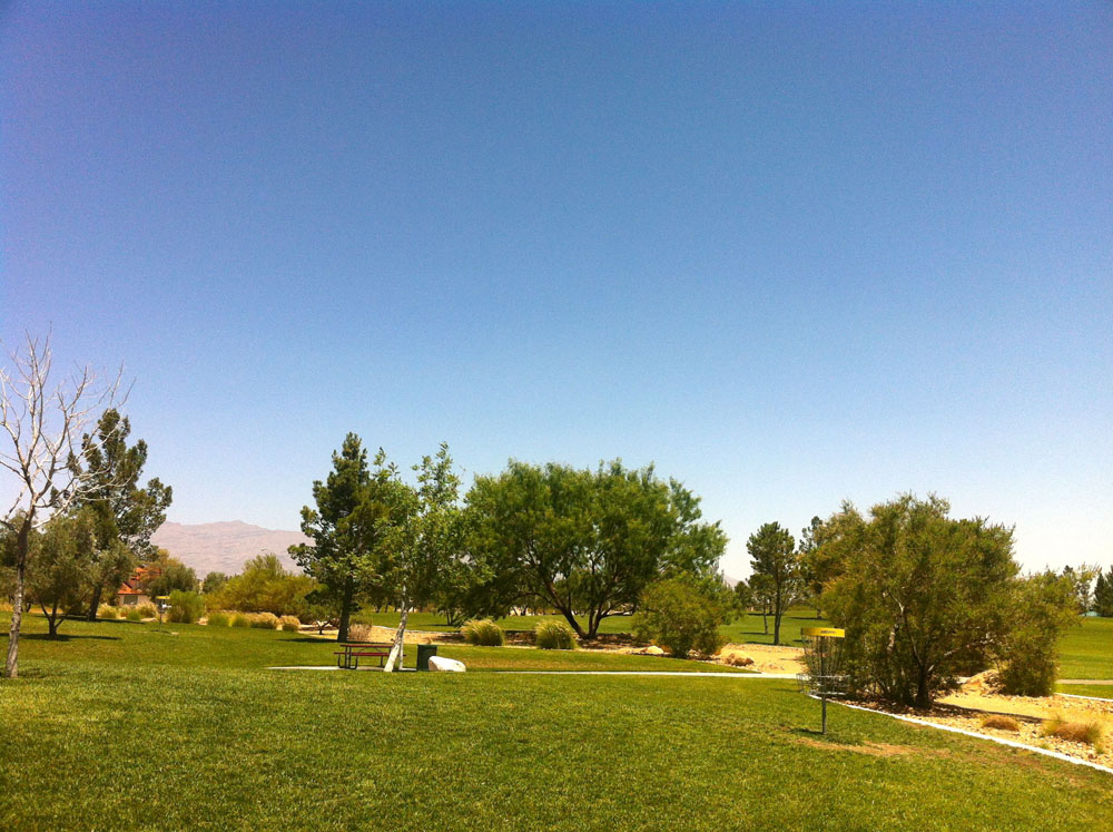 1113 | 00000001991 | parks - ranches,  grass, tree,