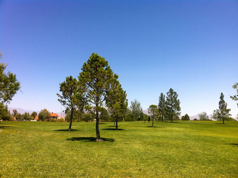 1113 | 00000001997 | parks - ranches,  grass, tree, 