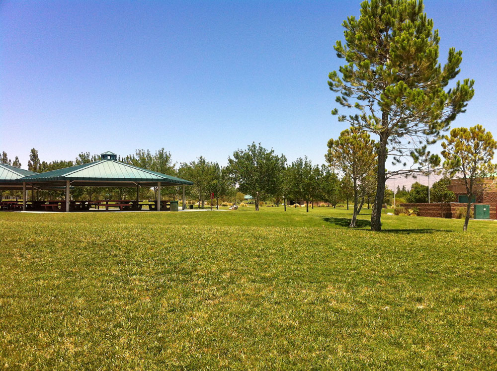 1113 | 00000002004 | parks - ranches,  grass, tree,