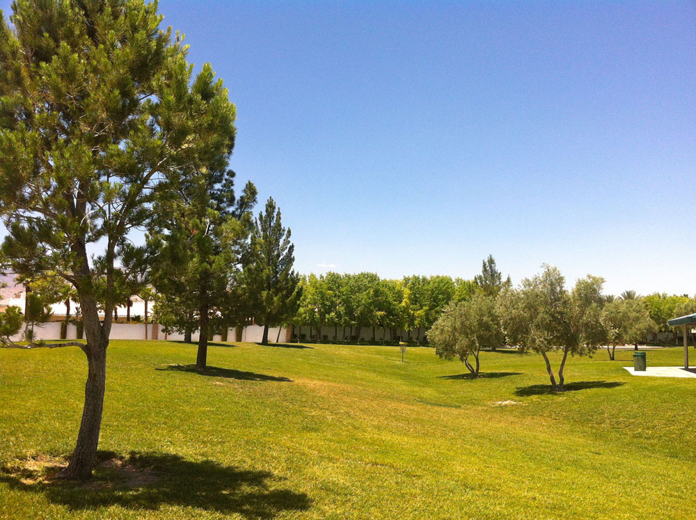 1113 | 00000002005 | parks - ranches,  grass, tree,