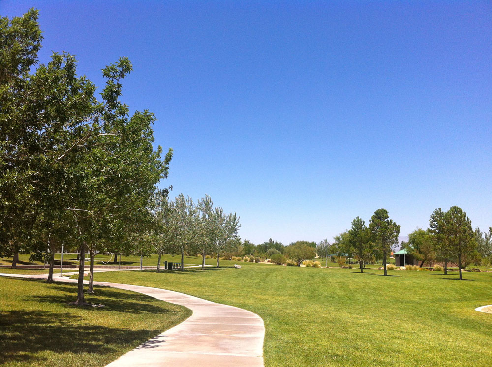 1113 | 00000002009 | parks - ranches,  grass, tree,