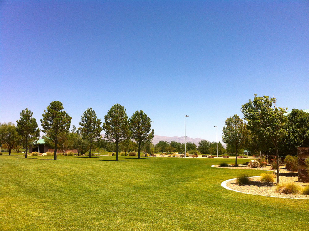 1113 | 00000002010 | parks - ranches,  grass, tree, 