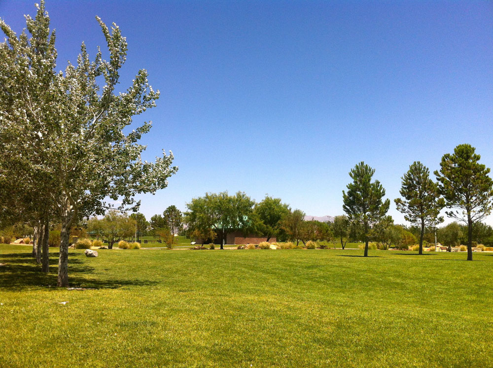 1113 | 00000002013 | parks - ranches,  grass, tree,
