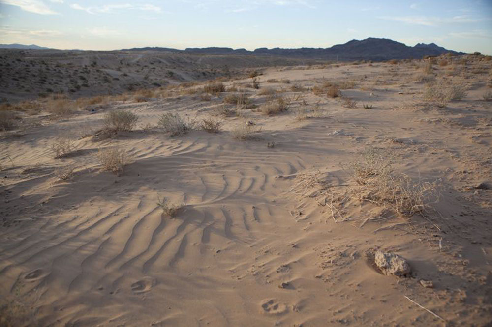 1713 | 00000006719 | desert,   sand, rocks, mountain,  