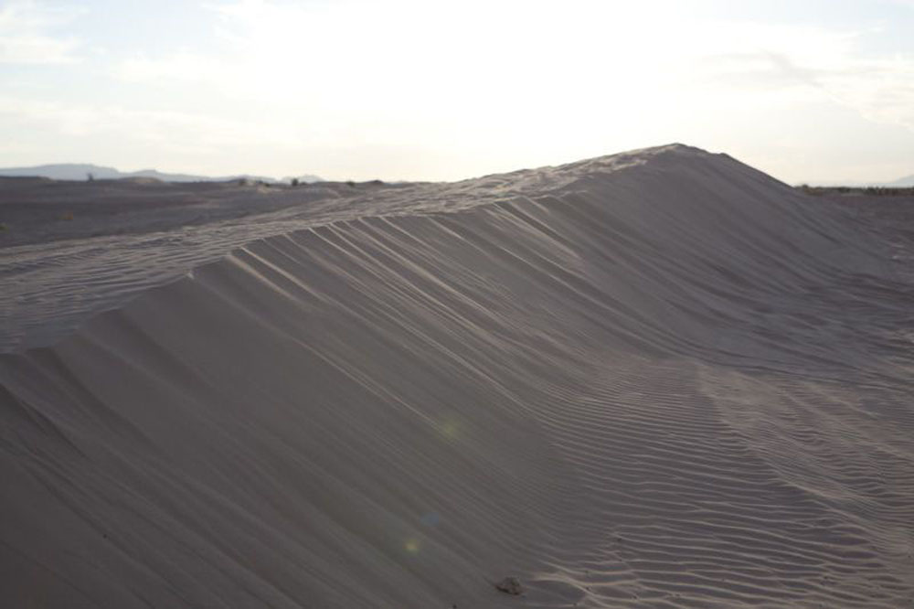 1713 | 00000006725 | desert,   sand, 