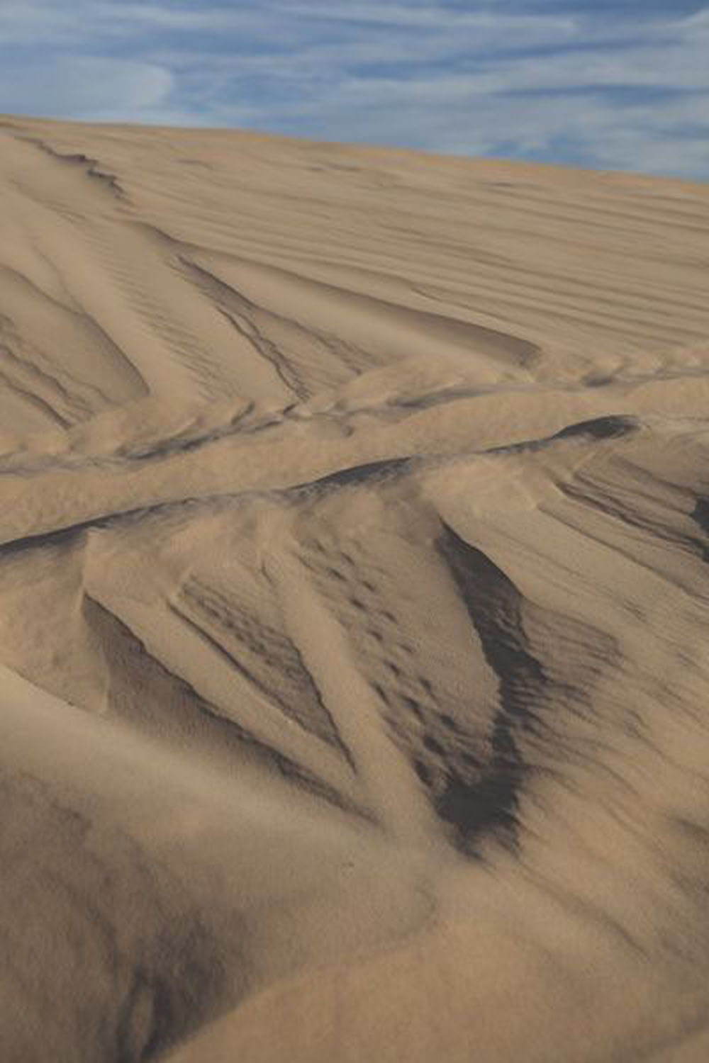 1713 | 00000006744 | desert,   sand, 