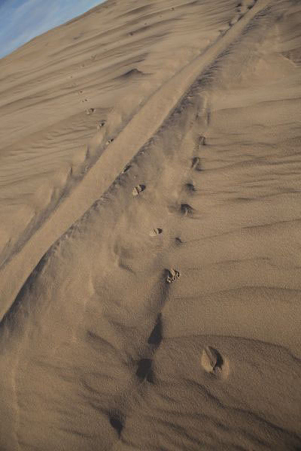 1713 | 00000006745 | desert,   sand, 