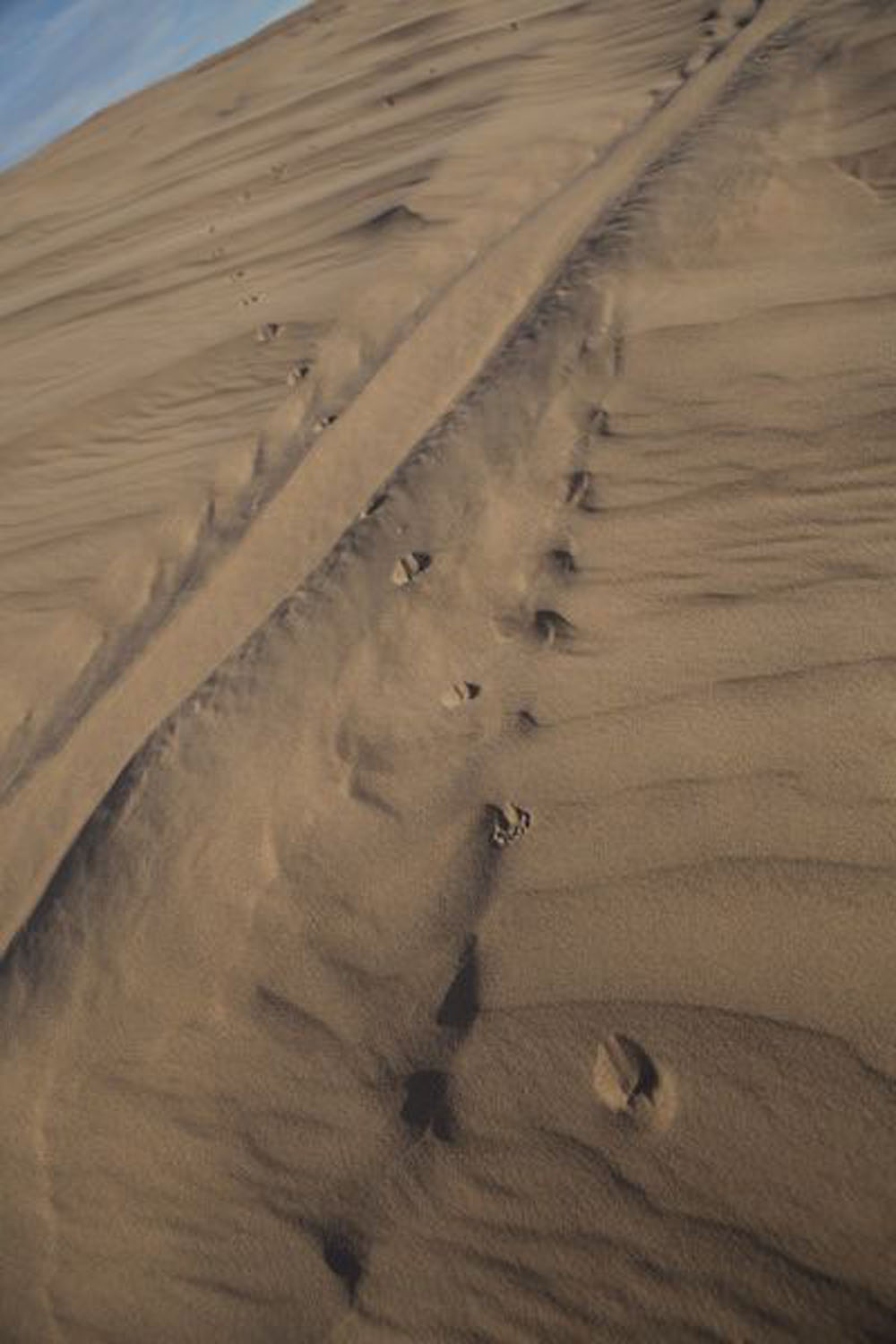 1713 | 00000006746 | desert,   sand, 
