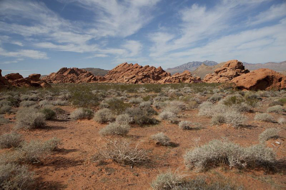 1715 | 00000006838 | desert,   rocks, view,  