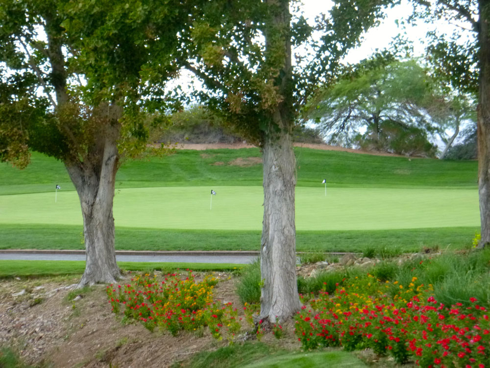 Cascata Golf | 00000009762 | sports, grass, golf, tree, 