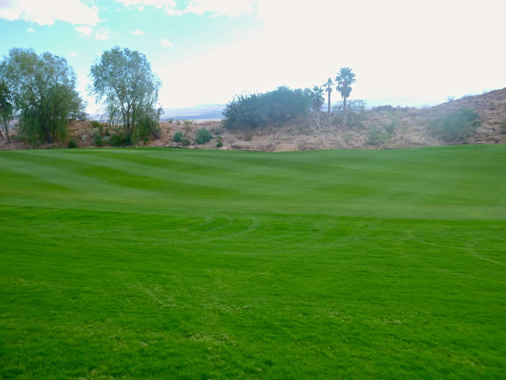 Cascata Golf | 00000009887 | sports, grass, golf, 