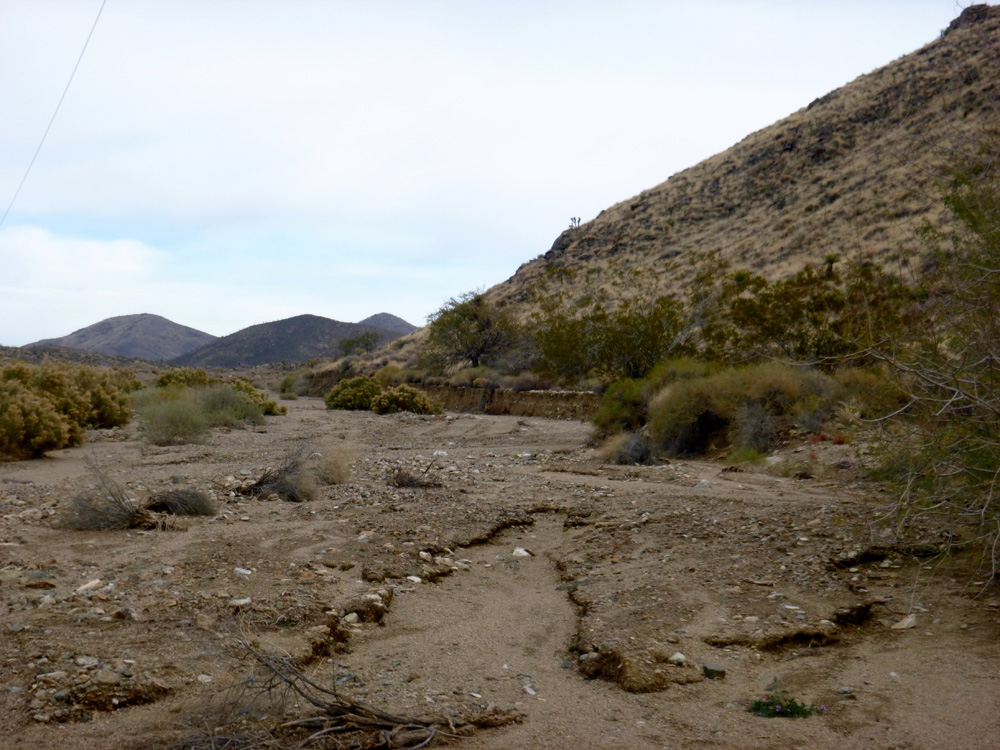 SL Desert - Creascent Peak rd. @ Joshua Tree hwy | 00000010268 | desert, mountain, 