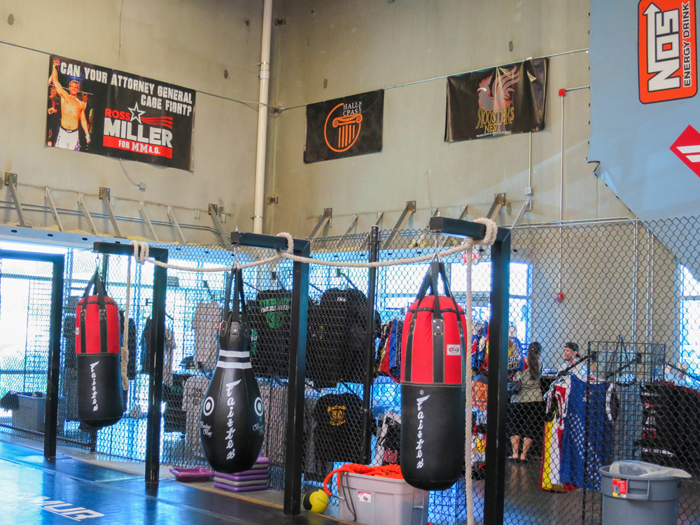 Syndicate MMA | 00000011119 | sports, gym, recreation,