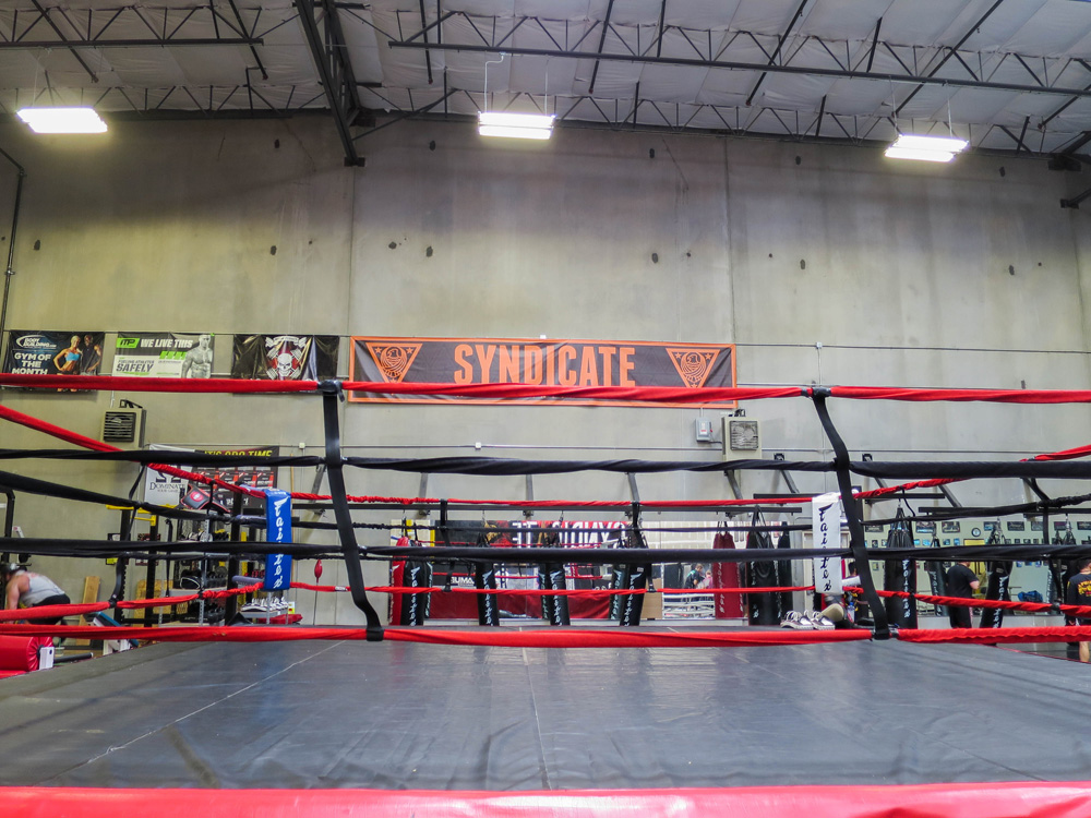 Syndicate MMA | 00000011129 | sports, gym, recreation,