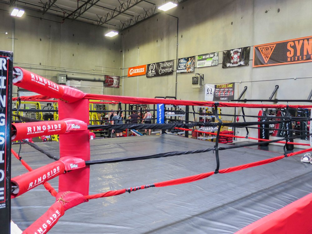 Syndicate MMA | 00000011130 | sports, gym, recreation,