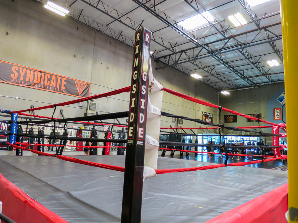 Syndicate MMA | 00000011132 | sports, gym, recreation,