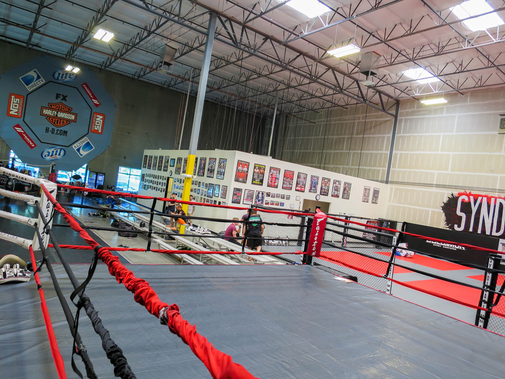 Syndicate MMA | 00000011134 | sports, gym, recreation,