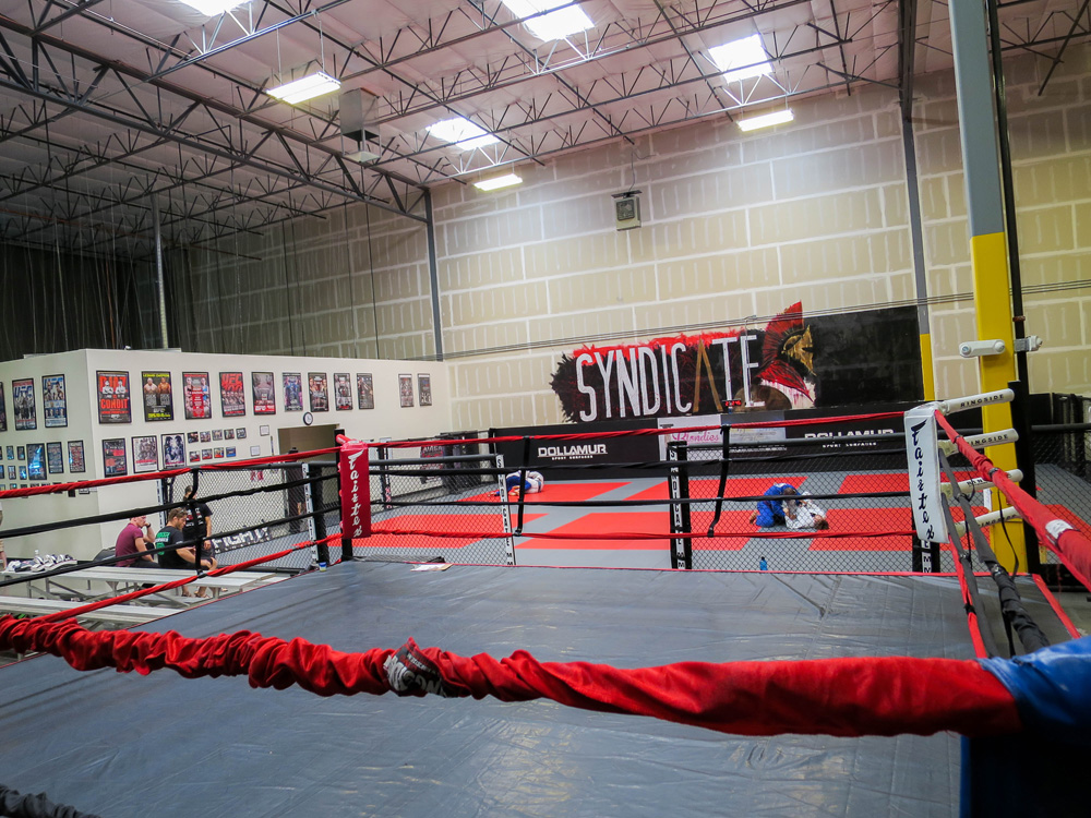 Syndicate MMA | 00000011135 | sports, gym, recreation,